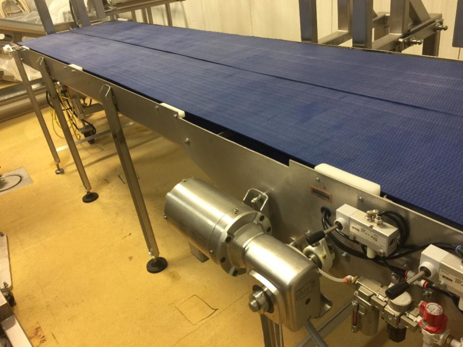 Stainless Steel Conveyor