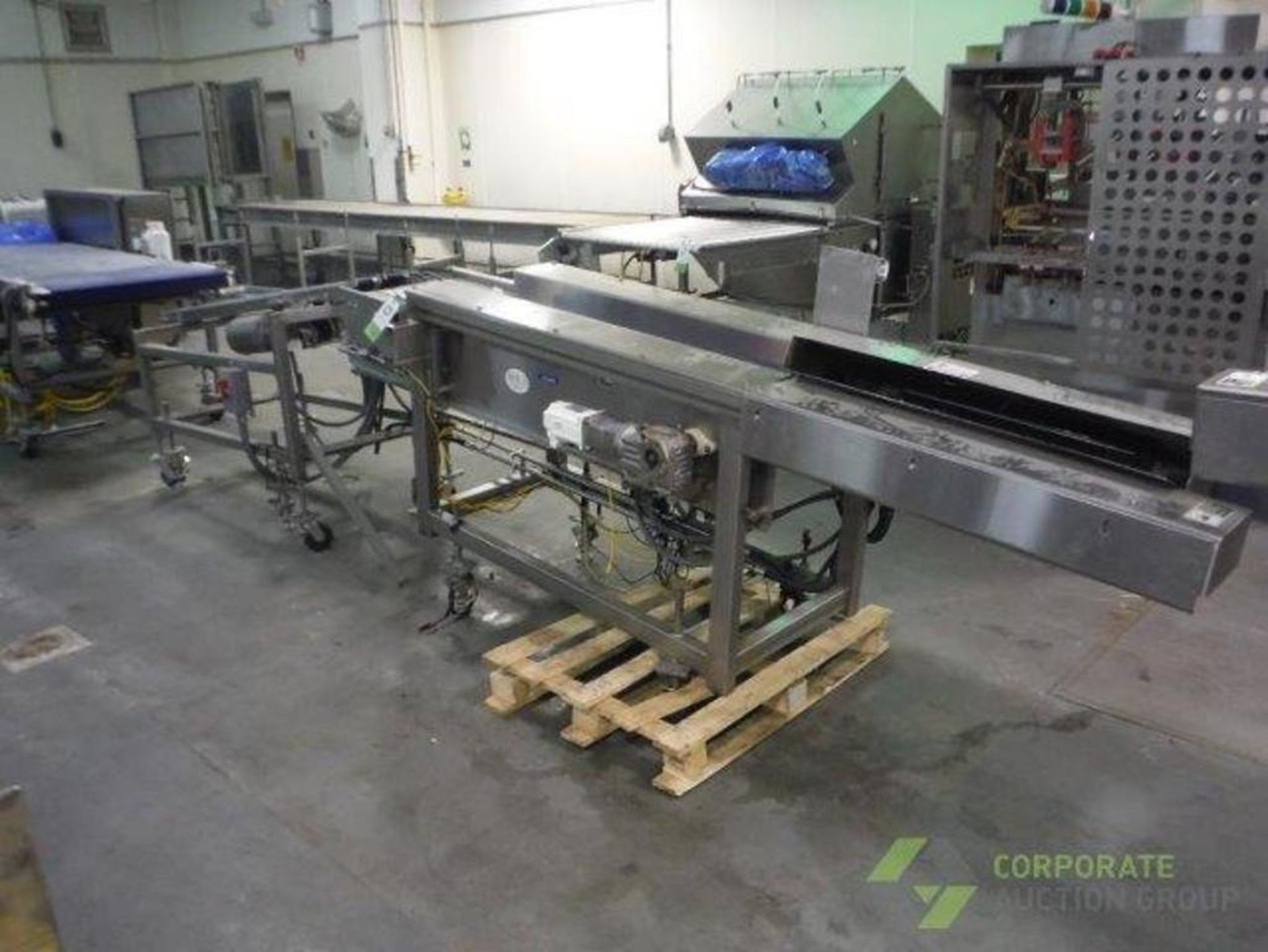 BMI dual lane belt conveyor, blue sanitary belts, 80 in. long x 3.5 in. wide x 33 in. infeed x46 in.