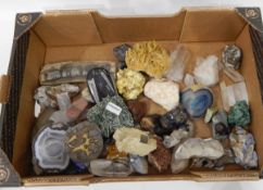 Collection of fossils and minerals including quartz, crystals, pyrite specimens,