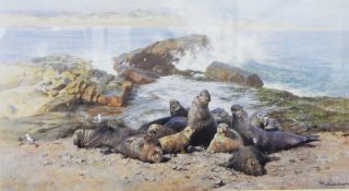 After David Shepherd Limited edition colour print "Elephant Seals", signed in pencil, 316/1500,