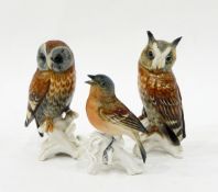 Karl Ens model of a long eared owl, 17cm,