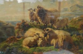 After W Watson 19th century coloured print Sheep on highlands,
