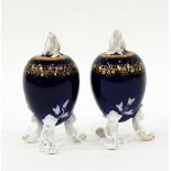 Pair of continental porcelain vases,