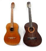 Hokada acoustic guitar and a Montana acoustic guitar, model no.