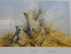 After David Shepherd Limited edition colour print "African Cheetah", signed in pencil, 113/350,