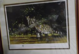 After David Shepherd Limited edition colour print "Clouded Leopard and Cubs", signed in pencil,