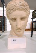 A plaster bust of a Roman/ Greek figure