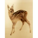 Kurt Meyer Eberhardt (1895-1977) Colour etching and aquatint "Fawn", signed bottom right,