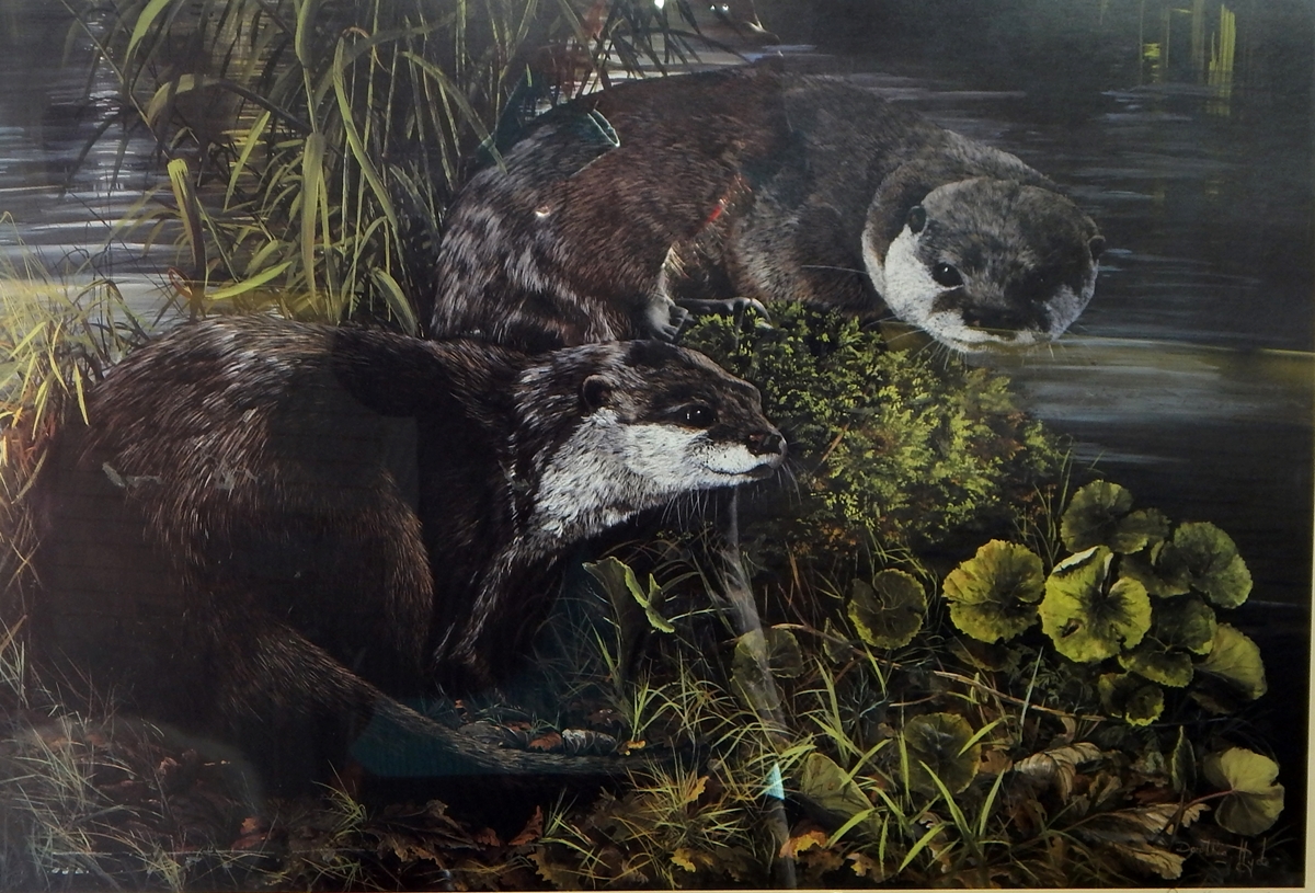 Dorothea June Buxton-Hyde Limited edition print "Bee the Otter and Mr Bee", otters,