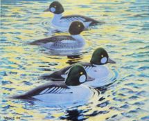 After Peter Scott Limited edition colour print "Golden Eyes on Golden Water",