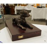 Bronzed model of a recumbent labrador,