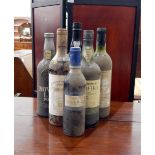 Mixed wines including one vintage port Dow's 2004, one late bottled port Novel,