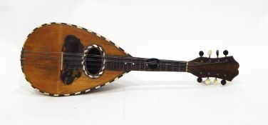 Decorative mandolin with tortoiseshell fingerplate,