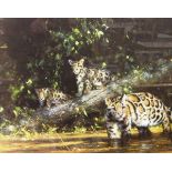 After David Shepherd Colour Print Clouded leopard and cubs signed in pencil lower right,