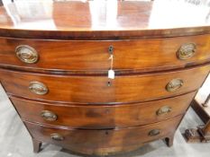 Georgian mahogany and cross-banded bowfront chest of four graduated drawers, shaped apron,