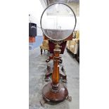 William IV rosewood stand, having a circular glass panelled screen, on telescopic support,
