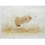 Print of a leaping salmon about to catch the fly, inscribed in margin in pencil "A/P to Mark,