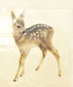 Kurt Meyer Eberhardt (1895-1977) Colour etching and aquatint "Fawn", signed bottom right,
