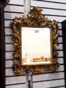 Pair of rococo style wall mirrors with carved foliate gilt frames, and rectangular bevelled plates,