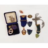 Quantity of enamelled badges including Young Conservatives, Girl Guides, etc.