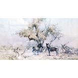 After David Shepherd Colour print 'Zebras and Colony Weavers' signed pencil lower right margin,
