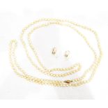 Single row of simulated pearls with a 9ct gold filigree clasp and a pair of pearl clip-on earrings,