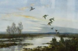 After Peter Scott (1909-1989) Colour print Ducks landing by water,