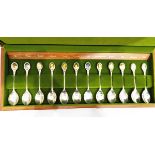 Set of 12 Royal Horticultural Society silver flower teaspoons by John Pinches Ltd,