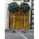 Pair of faux-bay trees in pots and two curtain poles