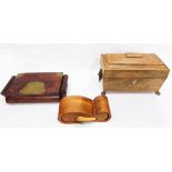 Early 19th century rosewood tea caddy of sarcophagus shape with lion mask ring handles and four paw