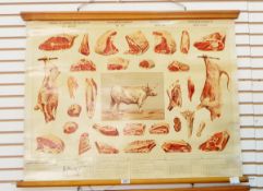 Two Belgian vintage butcher's charts,