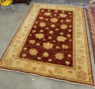 Afghan Ziegler rug having ruby red field with allover trailing flowerheads and ivory border with