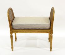 Giltwood and cane panelled dressing stool with loose cushion