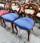 Pair of Victorian mahogany balloon-back chair on sabre shaped supports