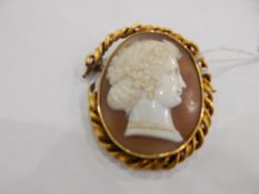 Late 19th century oval cameo brooch, profile portrait of lady with tied up curly hair,