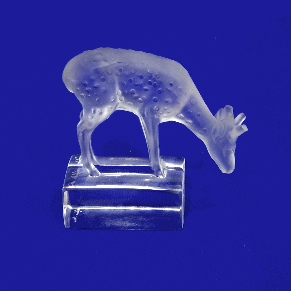 Lalique frosted glass model of a fallow deer, marked 'Lalique, France' on base,