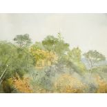 Judy Lee Watercolour drawing Landscape with building through trees,