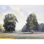 W G Huntley (20th century) Watercolour Trees in parkland, signed and dated 1978 lower left,