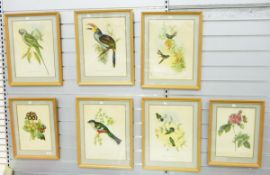 Set of five colour prints of tropical birds,