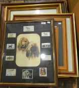 Various pictures relating to Afghan hounds, two botanical prints,