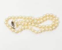 Uniform row of cultured pearls with white metal clasp marked silver