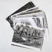 Quantity of black and white photographs of 1960's/70's East Anglian agricultural shows,