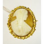 Victorian gold-coloured metal and shell cameo brooch, oval,