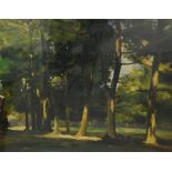 20th century school Colour print Woodland scene with path, unsigned,