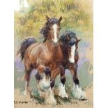 R S Welch (early 20th century school) Pastel study Two shire horses, signed lower left, 30cm x 21.