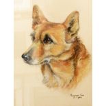 Marjorie Cox (British, 1915-2003) Pastel study Portrait study of a corgi,