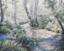 Denys Law (1907-1981) Oil on board Woodland path with bluebells, signed lower right, 49.