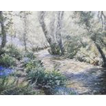 Denys Law (1907-1981) Oil on board Woodland path with bluebells, signed lower right, 49.