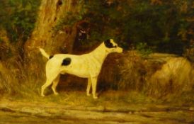 Arthur Wardle (1860-1949) Oil on canvas Portrait of a Jack Russell terrier, signed lower left, 33.