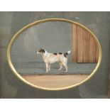 19th century school Gouache Pair of portraits of Jack Russell terriers, in oval mounts, unsigned,